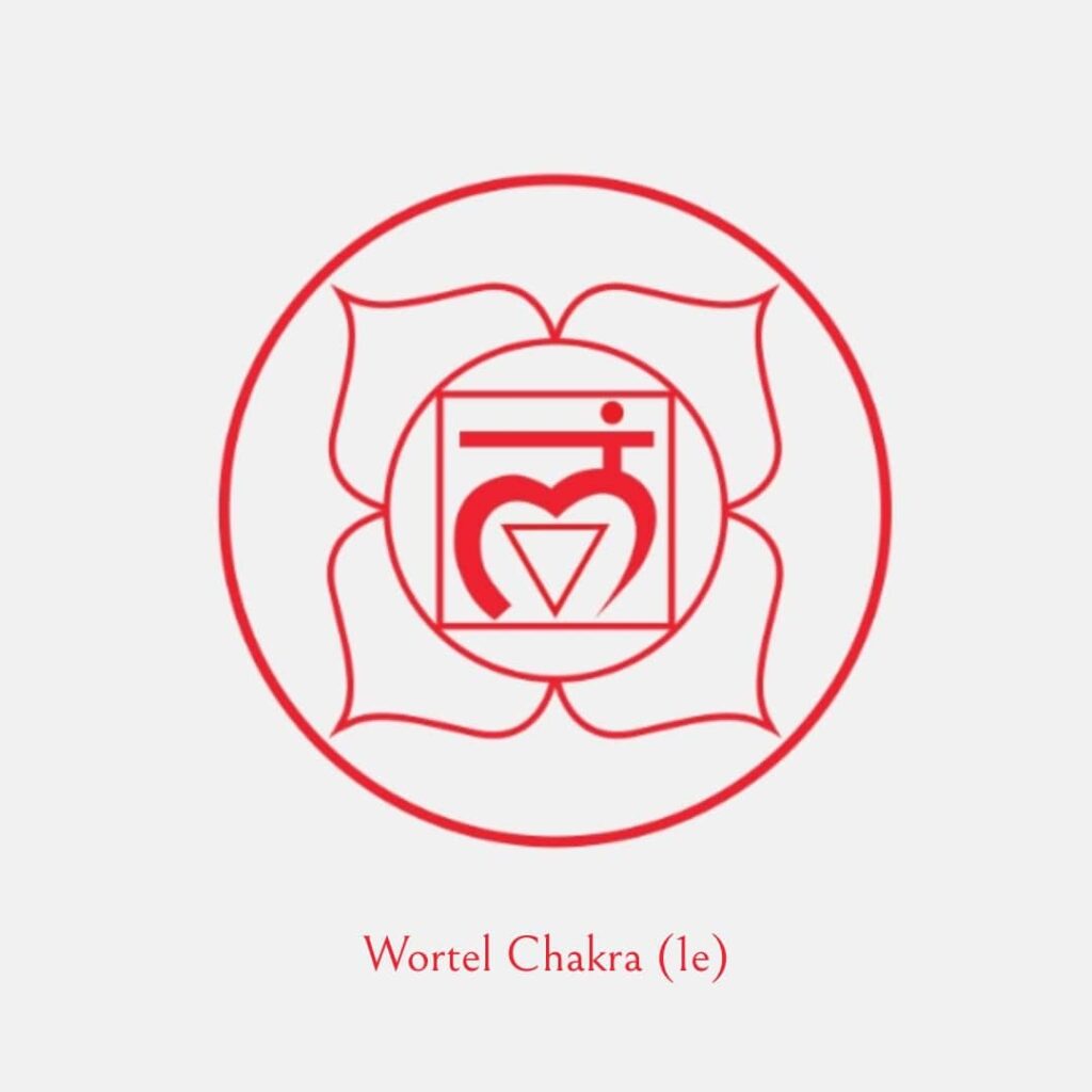 Wortel Chakra (1e)